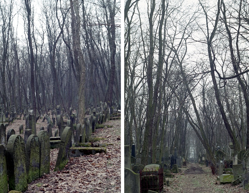 cmentarz-zydowski-na-woli1-jpg